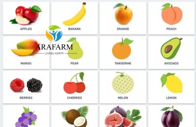 بهترین میوه برای جایگزین قند در بیماران دیابتی
