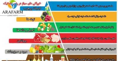 روش اصلی برای آموزش رژیم کتوژنیک